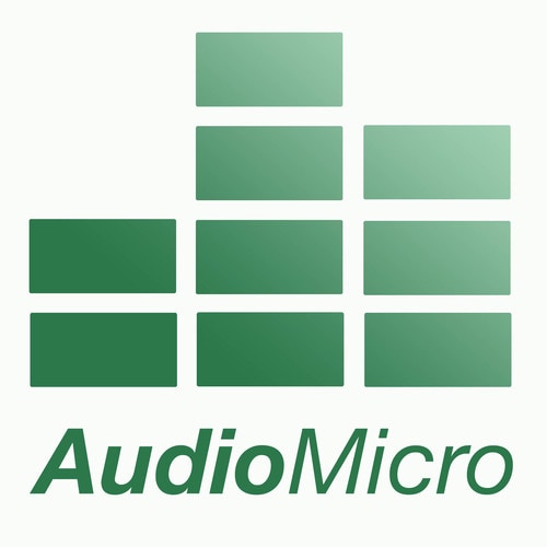 audio micro